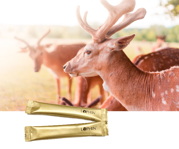 新品[國食健字]增強(qiáng)免疫力-鹿品牌鹿膠原蛋白沙棘粉