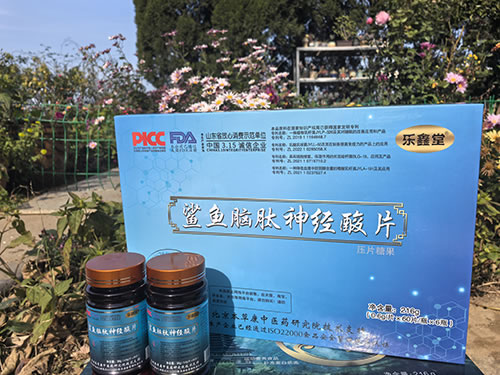 鱉魚腦肽神經(jīng)酸片